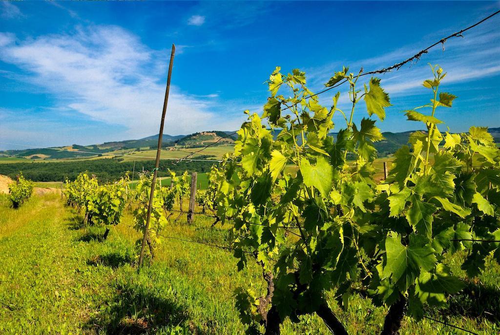 Agriturismo Il Canterino Гуардистало Екстериор снимка